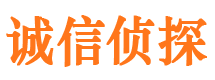 达日寻人公司